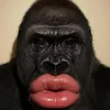bumbeo24