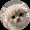 .junnu67