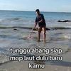 mooplaut