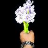 hafizmohammmedtaher1