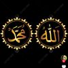 wanz.sdl