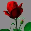 billemaadey1