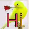 ikramull38