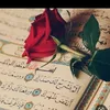 user4570295738251