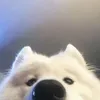 hanullyy.y