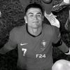 user8430721995885