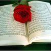 yassine.263