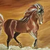 mahmood.samimi
