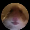us3rnam57zjdbsba