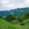 hh.vn55
