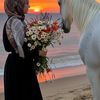 ayse7.1