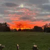 maisie_gallimore