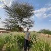riad.khan4568