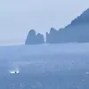 mgruttoca