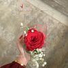 memoo_716