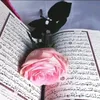 sajjad02525