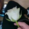 ji_mhop2006