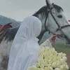 leen24444