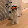 jessieurfav1