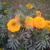 user1778006509244