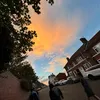landonb98
