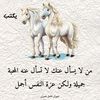 user392502578681