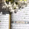 yusuf.h29