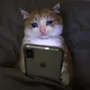 وهــم