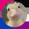 ꒰ঌ𝐿𝒾𝓋𝓎໒꒱