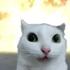daoc34n
