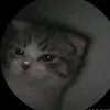jhvyjcngvvj1