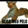 alisa meu pelo