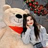 farzana.noori