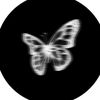user.211106