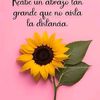 jorge.palacios6285