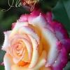 rosalinda.romero170