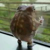 m3owtrees_isonline