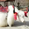 крипр