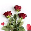 thilina.chathuran14