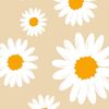 daisyclem