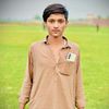 pardansab342