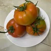 thanhha6334