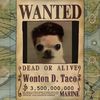 wontondtaco