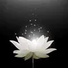 hong.le888