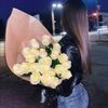 mel_ina_13