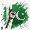 zeeshankhalil780