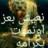m505mp