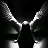 liiz_kis