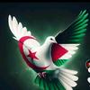 wistria.dz