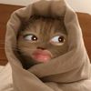 im_ginayura